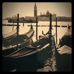 Meet your Posher, Sandy